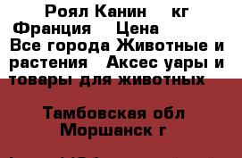  Роял Канин 20 кг Франция! › Цена ­ 3 520 - Все города Животные и растения » Аксесcуары и товары для животных   . Тамбовская обл.,Моршанск г.